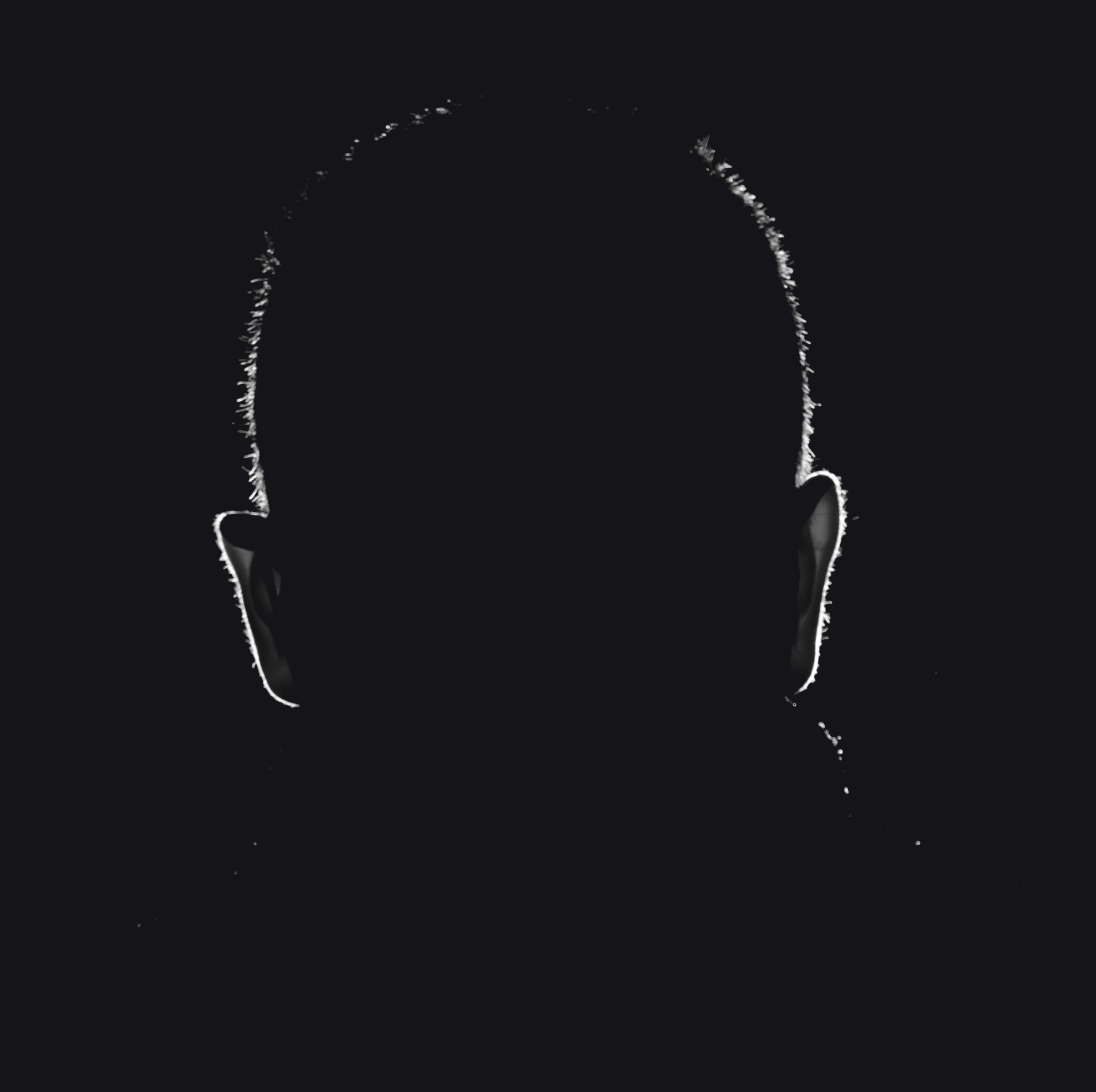Wesley Mace Silhouette mugshot